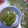 チャリpan's cooksnap of when they made 柚子胡椒☆自家製はうまい！.
