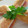 ＫＩＸ's cooksnap of when they made 簡単♪マフィン２種！！.