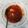 クックYKIFUF☆'s cooksnap of when they made 豚スネ肉のトマト煮.