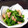 Fire-King's cooksnap of when they made 超簡単★ほうれん草の納豆和え.