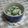 ましゅまろcocoa's cooksnap of when they made きゅうりのゴマ和え.