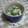 ましゅまろcocoa's cooksnap of when they made きゅうりのゴマ和え.