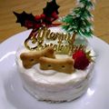 なぴこ＊'s cooksnap of when they made わんこのヨーグルトケーキ.