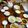 sagoemon's cooksnap of when they made チーズフォンデュ。.