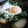 cheesedog's cooksnap of when they made 簡単♪じゃがいもとほうれん草の巣ごもり卵.