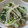 ぷちたく's cooksnap of when they made ほうれん草ともやしのツナマヨ和え.