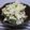 さったんママ's cooksnap of when they made アボカドディップ.