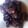 Msst's cooksnap of when they made ★黒豆★圧力鍋で簡単に♪.