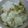 フロマージュ☆'s cooksnap of when they made 大根の皮も葉っぱも使い切り！炊き込み菜飯.