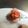 びんび❤'s cooksnap of when they made ウインナーのお花（お弁当に♪）.