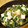 ぽりぽり拓庵's cooksnap of when they made はんぺんとほうれん草のオイスターソース煮☆.
