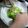 cheereiko's cooksnap of when they made バブルスライム肉まん.