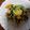 クックOM70Z9☆'s cooksnap of when they made ベーコンと水菜としいたけと卵の炒め物.