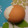 cheesedog's cooksnap of when they made 失敗なしのゆでたまご＊省エネ.