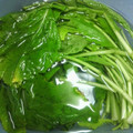 ♪♪ちょこ♪♪'s cooksnap of when they made これだけで✿野菜が♡新鮮♡長持ち保存法.
