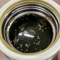クック49L4Ho☆'s cooksnap of when they made マグカップで作れちゃう☆わかめスープ.