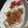 ハルハヤテ's cooksnap of when they made ☆豚肉ロースがソースに一目惚れ☆.