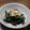 ひぃこ＊'s cooksnap of when they made ワカメの生姜醤油.