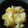上手くなりたいナ's cooksnap of when they made 安納芋の栗きんとん.
