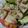 きゃろり's cooksnap of when they made 冷しゃぶの正しい茹で方.