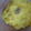 mierda's cooksnap of when they made ヨーグルトを使って、かぼちゃのサラダ。.