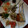 のりさらすわてぃ's cooksnap of when they made お節料理）多々喜ごぼう.