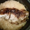 かめゆき's cooksnap of when they made 鯛めし.