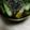 鳥緑辛's cooksnap of when they made 黒胡麻坦々麺.