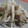 Apple_Home's cooksnap of when they made ザーサイとささみの簡単和え物♪.