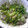 まい　ぼん's cooksnap of when they made マグロとアボガドのツン☆っと和え.
