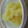 yyocchi's cooksnap of when they made 栗きんとん♫.