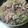 かぴーな's cooksnap of when they made ベーコンときのこの速攻クリームパスタ♪.