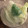 まこた★'s cooksnap of when they made ゆかり＆くるみごはんの生春巻き仕立て❤.