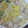 scanty's cooksnap of when they made 白菜と鶏だんごの鍋.
