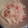 ゆぅぷん's cooksnap of when they made 大根とハムとおさかなソーセージのサラダ.