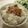 miyuki12's cooksnap of when they made 絶対おいしい☆おかかクリチーご飯.