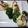 an0v0ko's cooksnap of when they made マヨ酒粕　△基本のレシピ.