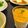 ＊|eriko|＊'s cooksnap of when they made キラキラ☆にんじんのムース.