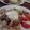 時花菜's cooksnap of when they made 朝食にも！キャベツの巣ごもり卵.