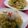 ママフィオ's cooksnap of when they made キノコと大根おろしの和風スパゲティー.