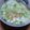 粋華（すいか）'s cooksnap of when they made ウチの七草粥.