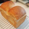 おちょらママ's cooksnap of when they made Bread＊50/50全粒粉パン.