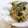 Kenmamac's cooksnap of when they made 簡単すぎるもやしのナムル.