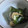 はっぴーはりぼ's cooksnap of when they made わけぎと油揚げの炒め煮.