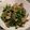 smilemama7's cooksnap of when they made 再現！ジョナサンほうれん草ソテー.