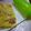umecchi's cooksnap of when they made ルクエでごきげん＊ベーコンポテトオムレツ.