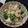 きのこのおうち's cooksnap of when they made ★海老とアボカドのクリームチーズ和え★.