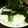 トマトオレ's cooksnap of when they made モリモリ食べれる☆大根と納豆サラダ.