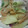 ｔｍｔｍｔｍ's cooksnap of when they made 冬瓜のオイマヨ炒め.