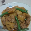 ぴこいぬ's cooksnap of when they made 豚肉と蓮根のスタミナきんぴら.